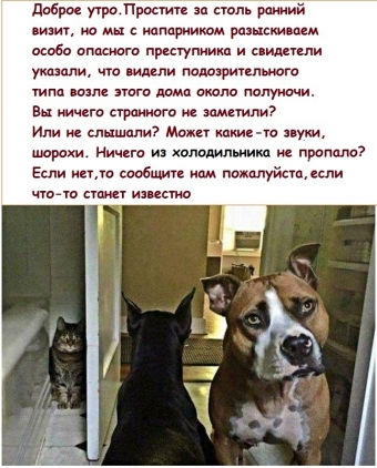 Понемногу обо всем, о веселом и смешном