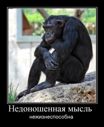 Осторожно, обезьянки - смешные демотиваторы про обезьян