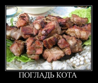 Я за зиму, забыл, отвык, как вкусный выглядит шашлык.