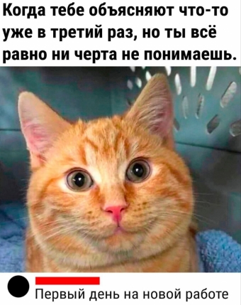Мэмы. 2 часть