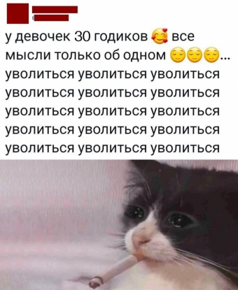 Шуточки и мемы для вас. 11 часть