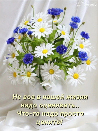 Тысячи открыток и поздравлений. 26 часть.