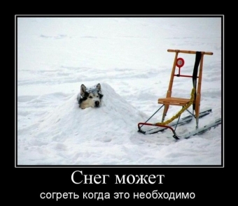 Демотиваторы о зимних заносах