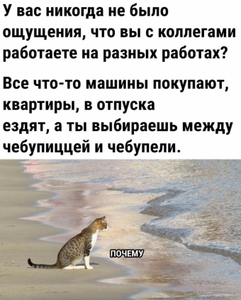 Мэмы. 3 часть 