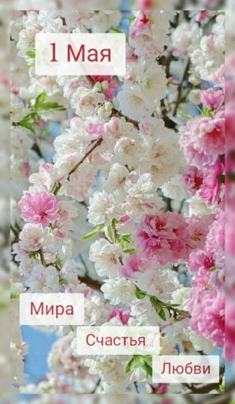1 мая открытки и поздравления 