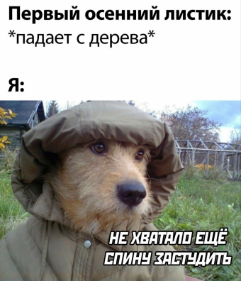 Какие-то мемы. 2 часть 