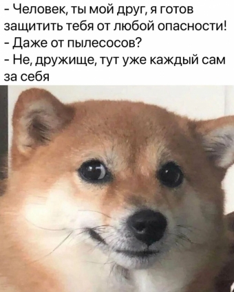 Шуточки и мемы для вас. 8 часть 