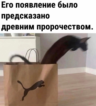 Мэмы. 2 часть