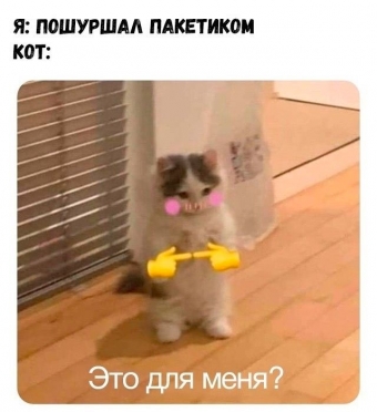 Мемы для настроения 