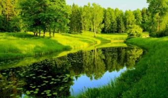 Природа как она есть