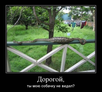 Улыбок и хорошего настроения, подборка прикольных демотиваторов