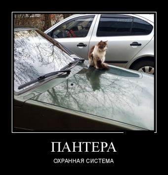 Тормоза придумали трусы))) Авто демотиваторы.