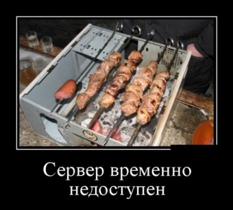 Я за зиму, забыл, отвык, как вкусный выглядит шашлык.
