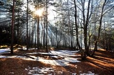 Весеннее настроение