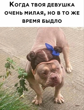 Шуточки и мемы для вас. 12 часть