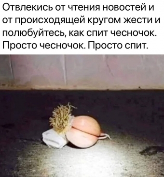 Мэмы. 2 часть