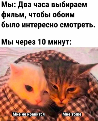 Мэмы. 2 часть