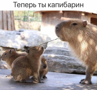 Какие-то мемы. 2 часть 