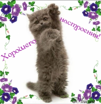 Тысячи открыток и поздравлений. 31 часть.