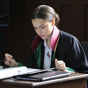 Эстетика профессии адвокат 