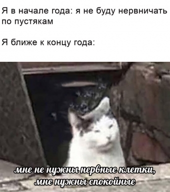 Шуточки и мемы для вас. 17 часть