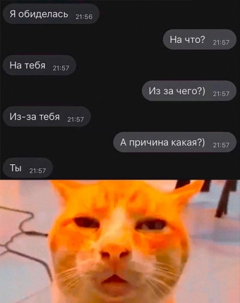 Мэмы. 1 часть