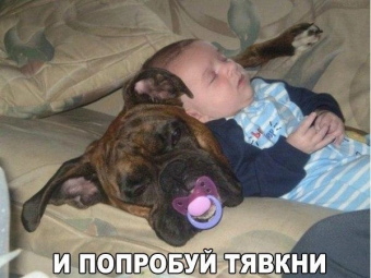 Разные мемы. 2 часть