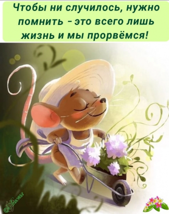 Тысячи открыток и поздравлений. 26 часть.