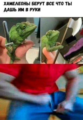 Мемы для настроения 