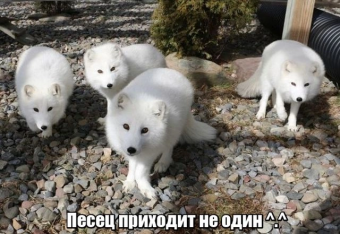 Разные мемы. 3 часть