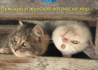 Разные мемы. 1 часть