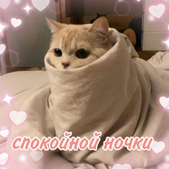 Открытки на тему спать/спокойной ночи 