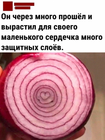 Мэмы. 2 часть