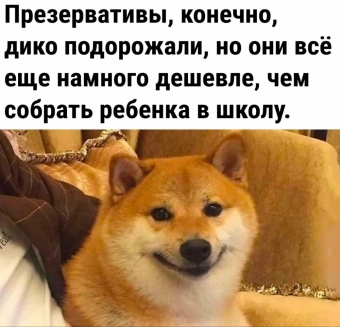 Мэмы. 1 часть