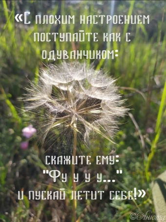 Тысячи открыток и поздравлений. 31 часть.