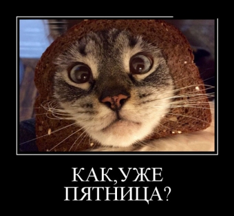 Демотиваторы о пятнице