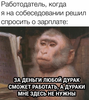 Мэмы. 1 часть