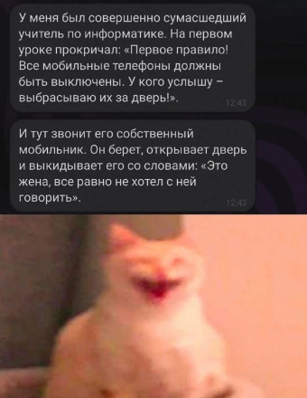 Мэмы. 1 часть