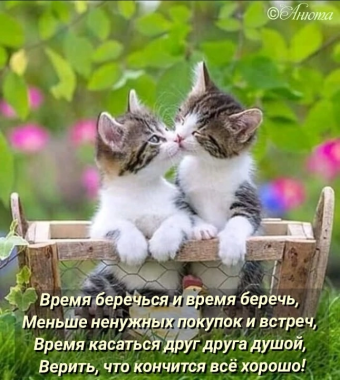 Тысячи открыток и поздравлений. 26 часть.