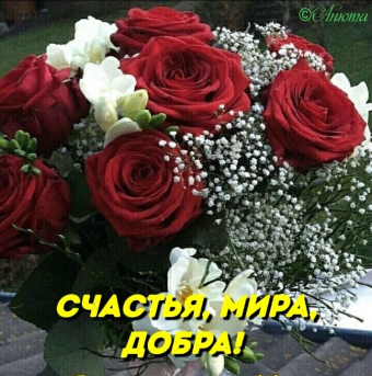 Тысячи открыток и поздравлений. 27 часть.