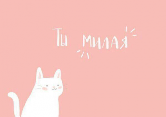 Шикарные цитаты