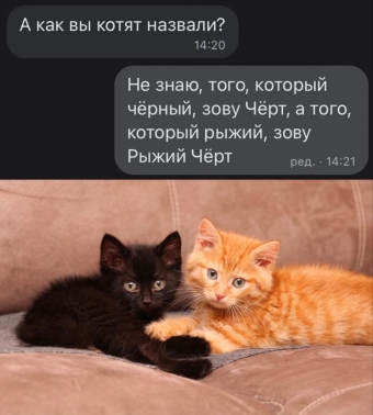 Шуточки и мемы для вас. 7 часть