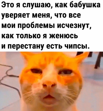 Мэмы. 2 часть