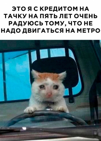 Шуточки и мемы для вас. 8 часть 