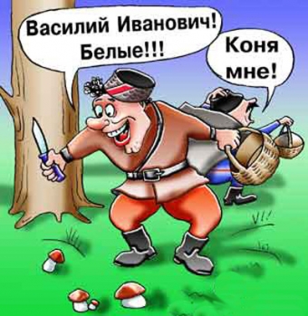 Анекдоты про Чапаева.