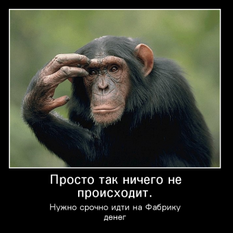 Осторожно, обезьянки - смешные демотиваторы про обезьян