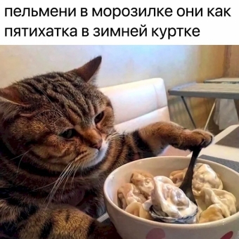 Шуточки и мемы для вас. 11 часть