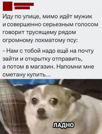 Хорошее настроение - это мемы 