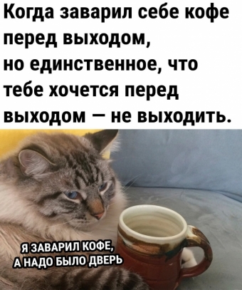 Мэмы. 2 часть