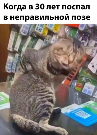 Мэмы. 1 часть